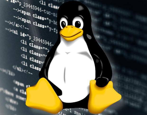 Linux Shell 编程：掌控命令行的艺术 (linux属于什么操作系统)