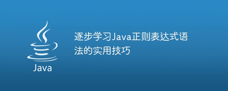 掌握Java编程语言：深入浅出的教程和实用指南 (掌握javascript基础 初入宗门)