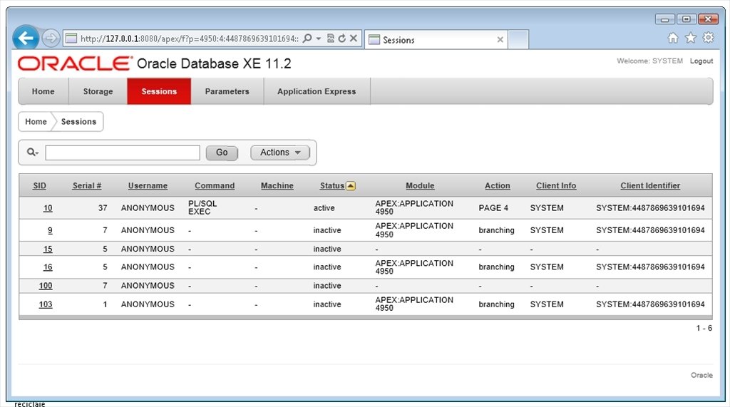 Oracle 数据库学习指南：从入门到精通的全面指南 (oracle erp)