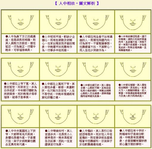 面向初学者和专业人士的 C 语言程序设计软件