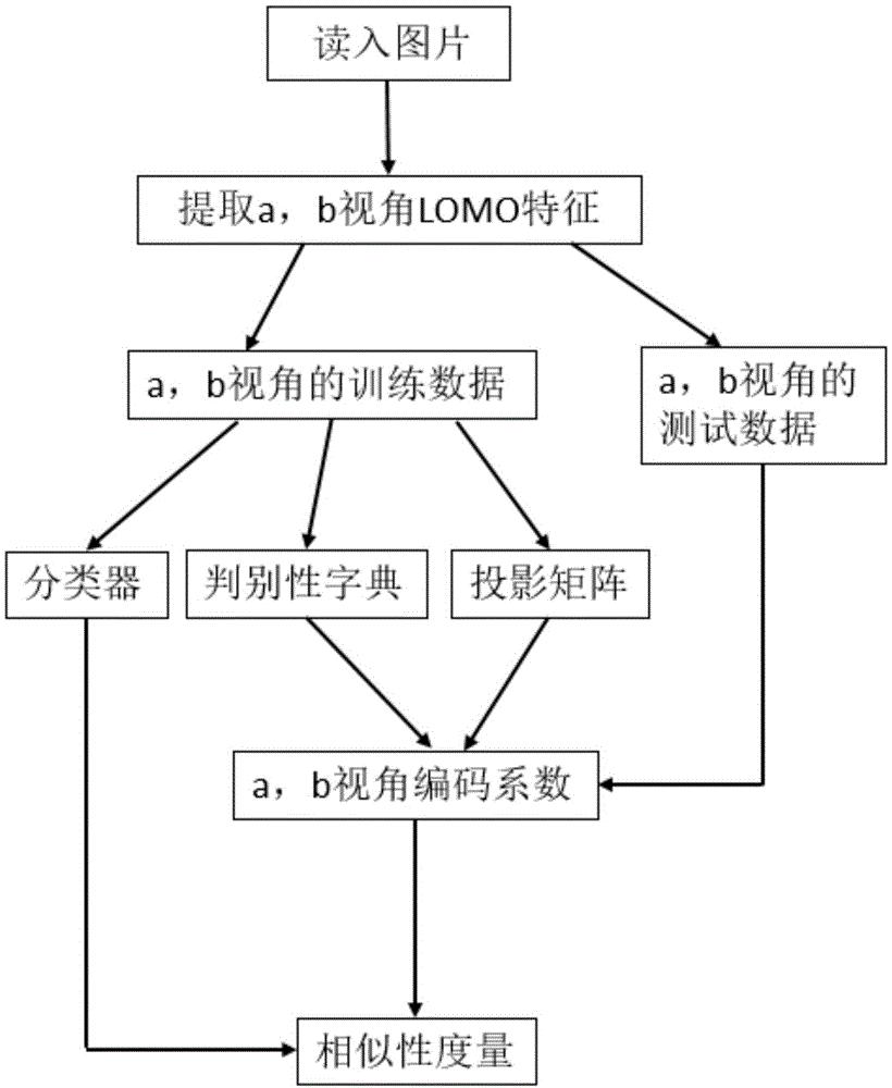 驾驭正则表达式：成为解析语言的超级高手 (驾驭正则表达式是什么)