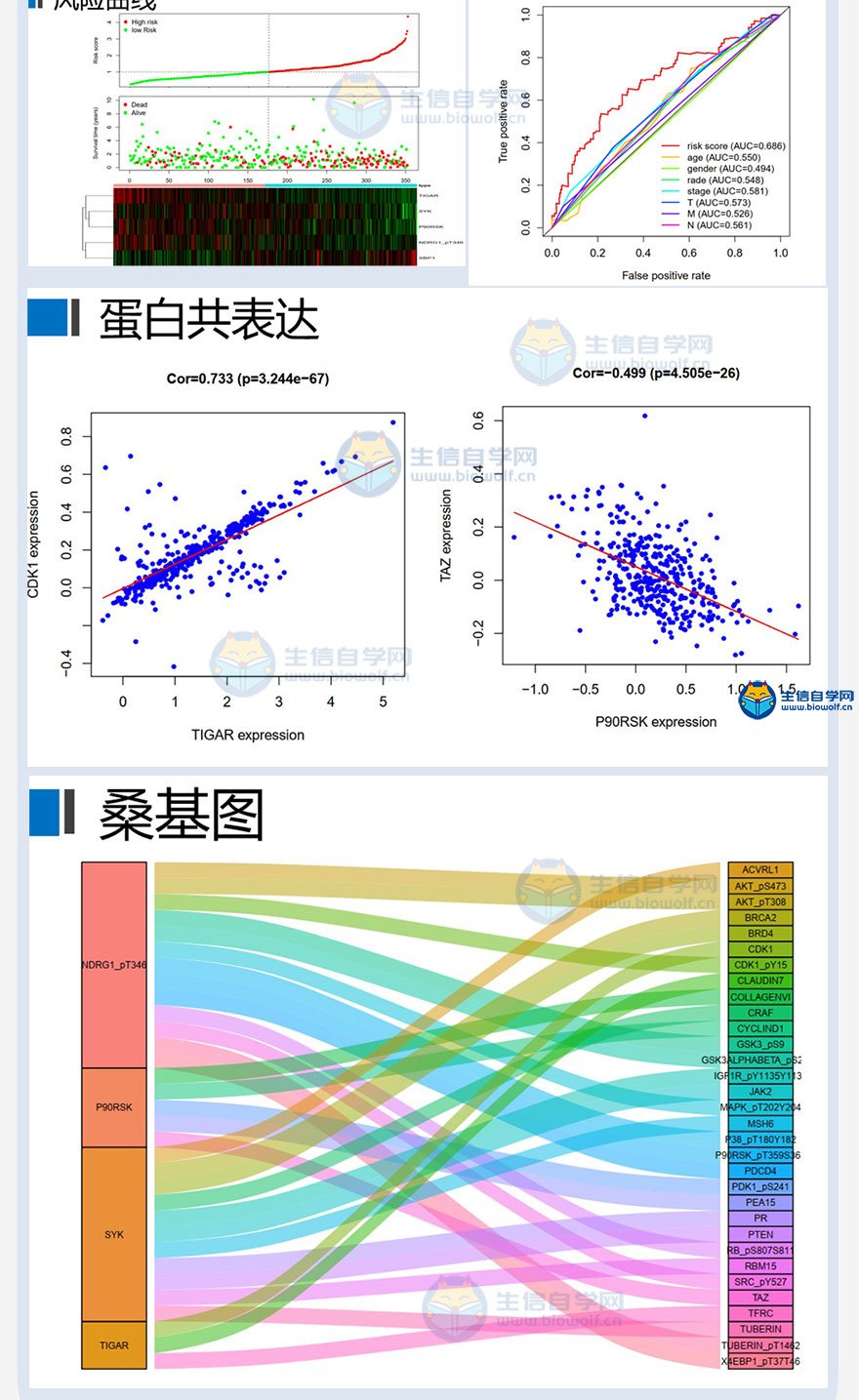 数据库挖掘：揭开数据的宝藏，解锁商业洞察 (数据库挖掘方法)