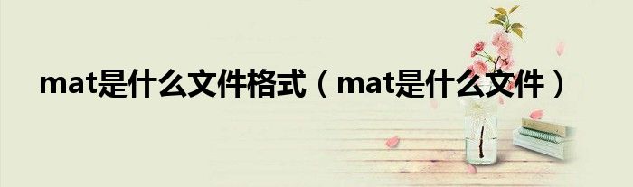 使用 MATCH 函数在数据集中查找值 (使用malloc函数要加什么头文件)