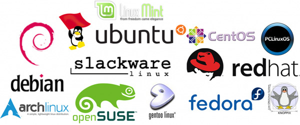 Linux 教程：面向新手和高级用户的深入指南 (linux教程第五版课后题答案)