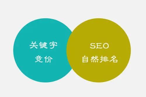 百度 SEO 必胜秘籍：一步步教你优化网站 (百度seo sem)