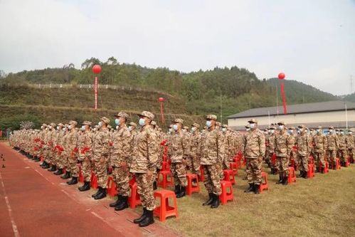 征服江门 SEO：提升在线能见度和推动业务增长的全面策略