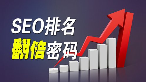 主宰搜索引擎：顶级SEO (主宰搜索引擎有哪些)