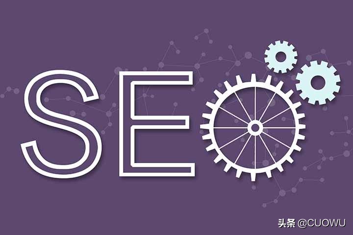 揭秘 SEO 网站运营的终极指南：从排名第一到扩大业务 (seo.1)