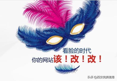 与SEO专家同行：每日一贴，掌握搜索引擎优化精髓 (资深seo专家)