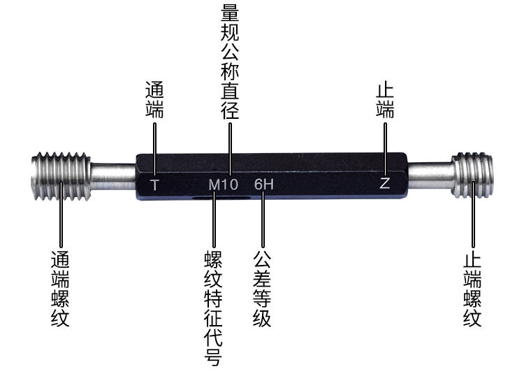 全面指南：通过一步步教程建立一个专业网站 (全部指南)