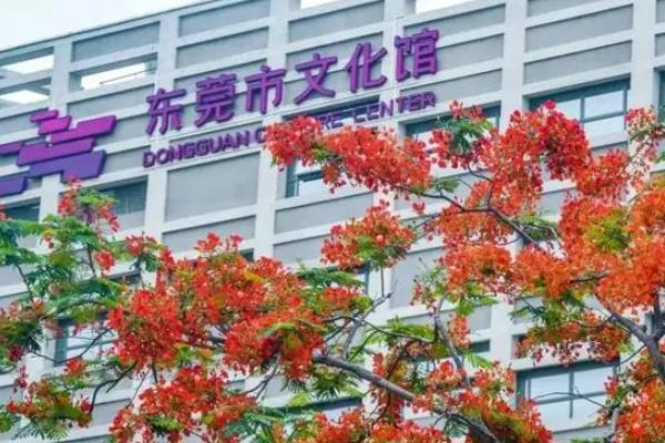 东莞企业必备：全方位网站建设解决方案，提升业务竞争力 (东莞本地企业)