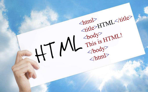 HTML 网页制作从零到一：专为大一学生设计的代码指南 (html网页制作代码大全)