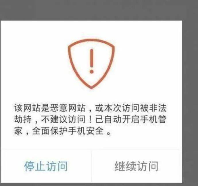 揭秘网站SEO策略：提升搜索引擎排名的实用指南 (维基揭秘网站)