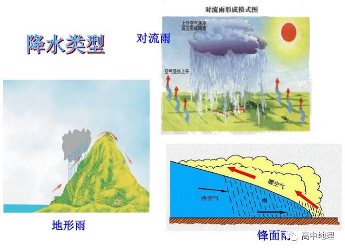 与狼雨联手：专业SEO优化服务，助您网站登顶搜索引擎 (狼雨狼嗥)