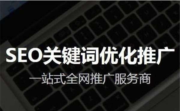 全面提升网站可见度：探索我们的搜索引擎优化服务 (全面提升网站的)