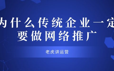 利用网络推广有效提升网站流量的终极指南 (利用网络推广网站的方法包括)