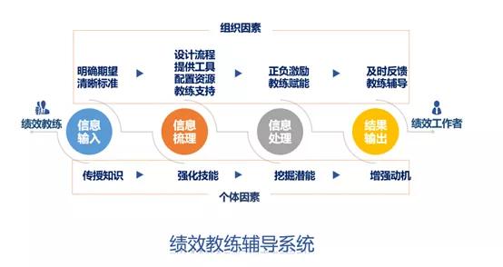 增强组织绩效：优化组织结构的综合指南 (增强组织绩效管理能力)