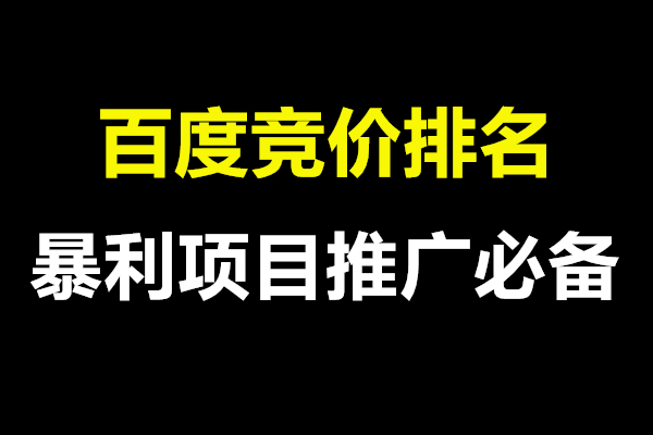 百度竞价推广：提升网站流量和转化率的强力工具 (百度竞价推广怎么做)