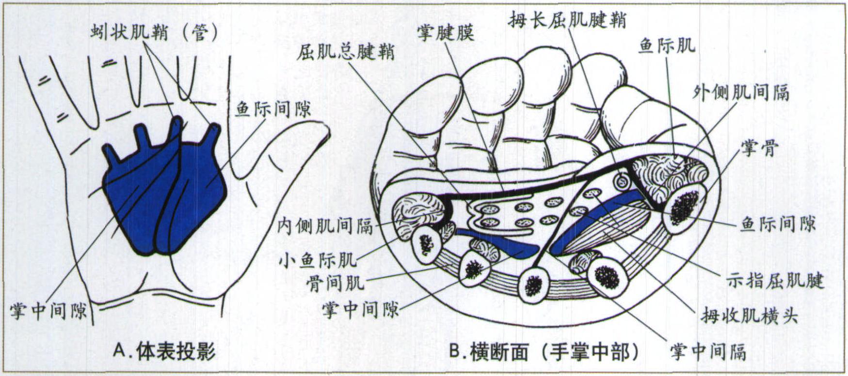 在移动时代掌控流量：解锁百度手机推广的无限潜力 (在移动时代掌握的技术)