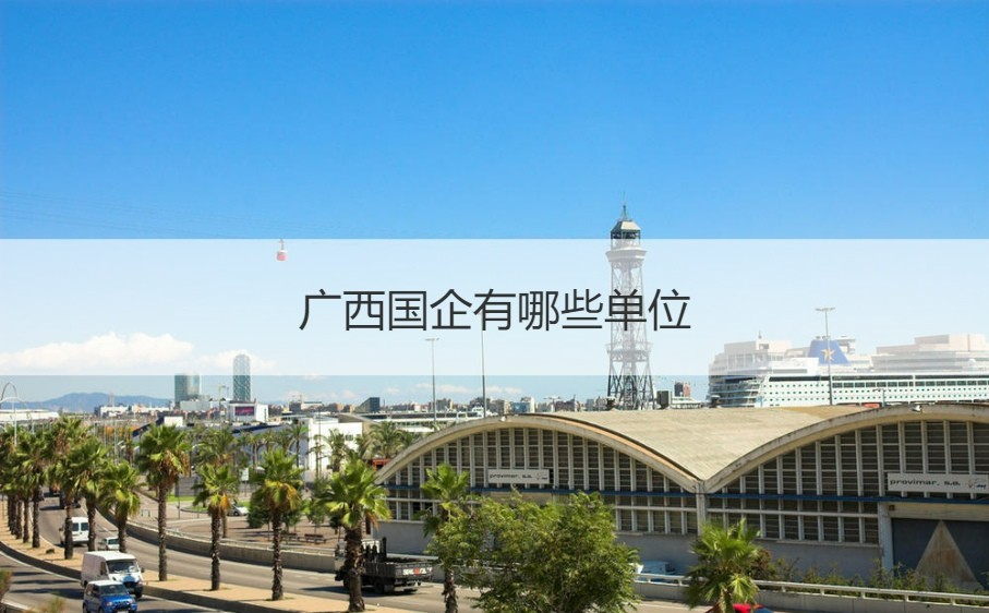 广西企业网络营销利器：网站推广助你引领市场 (广西企业登记网络服务平台)