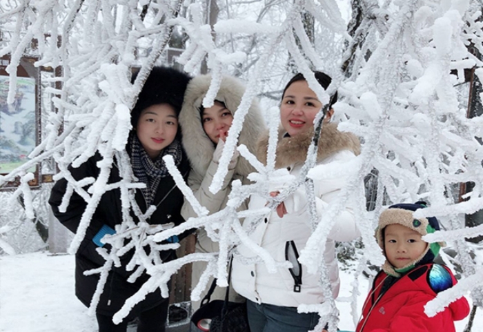 张家界旅游业的SEO指南：提升在线知名度和吸引力 (张家界旅游业发展现状)