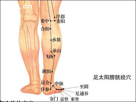 荥阳SEO指南：提升网站排名和有机流量的实用技巧 (荥阳网站优化)