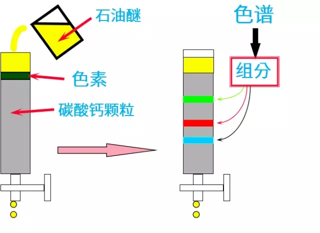 深层剖析 SEO：了解搜索引擎优化的精髓 (深层剖析苏联解体)