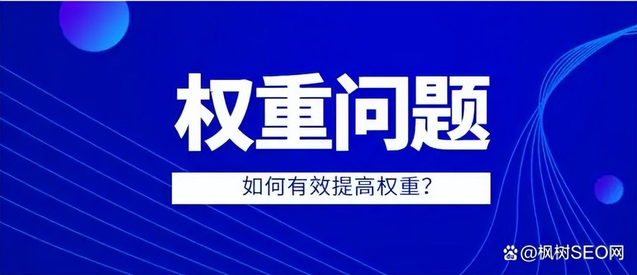 SEO的双重性：既是搜索引擎优化，也是一种奇特的饮食吗？ (seo分为哪两种类型)