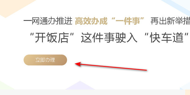 企业网站注册必备：深入了解域名、托管和构建过程 (企业网站注册流程)