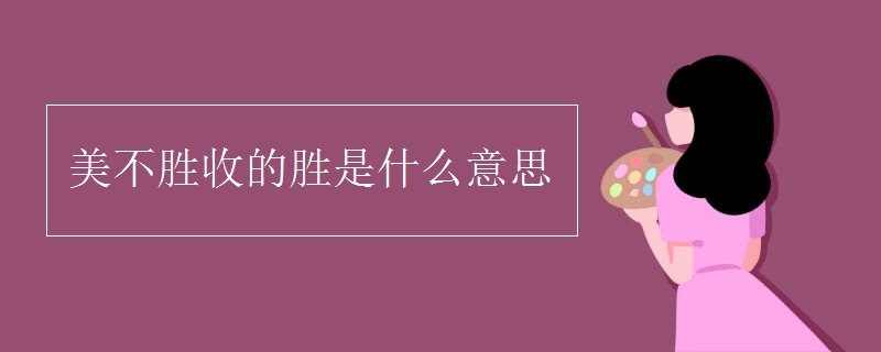 美不胜收的网页盛宴：国内排版殿堂，领略极致视觉享受 (美不胜收的网名昵称女)