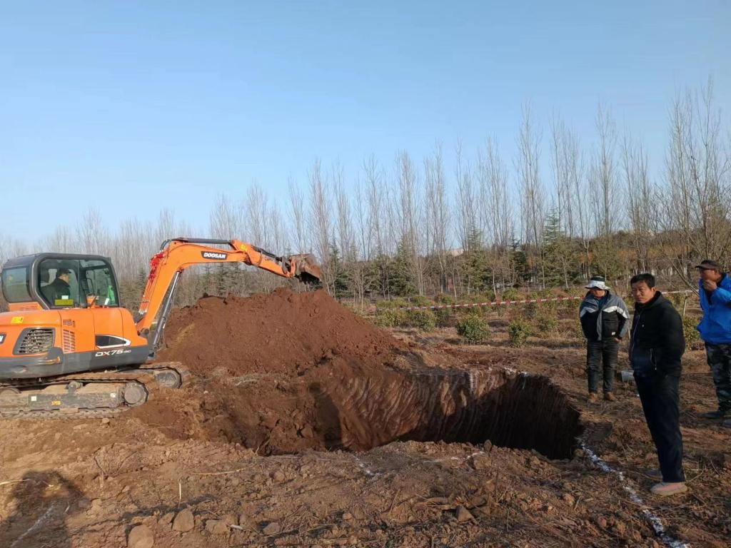 发掘网站建设领域的顶级公司 (发掘网站建设方案)