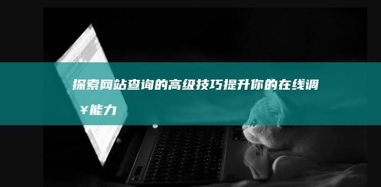 探索网站查询的高级技巧：提升你的在线调查能力 (探索网平台)