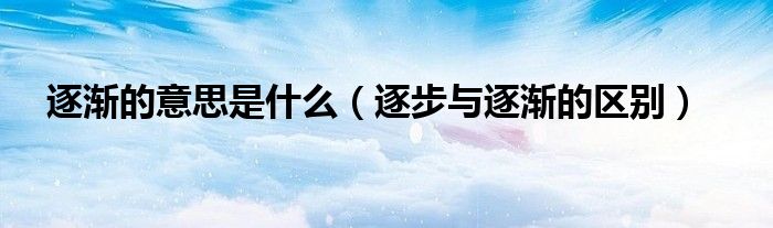 逐步指南：为初学者构建一个令人惊叹的网站 (逐步指导)