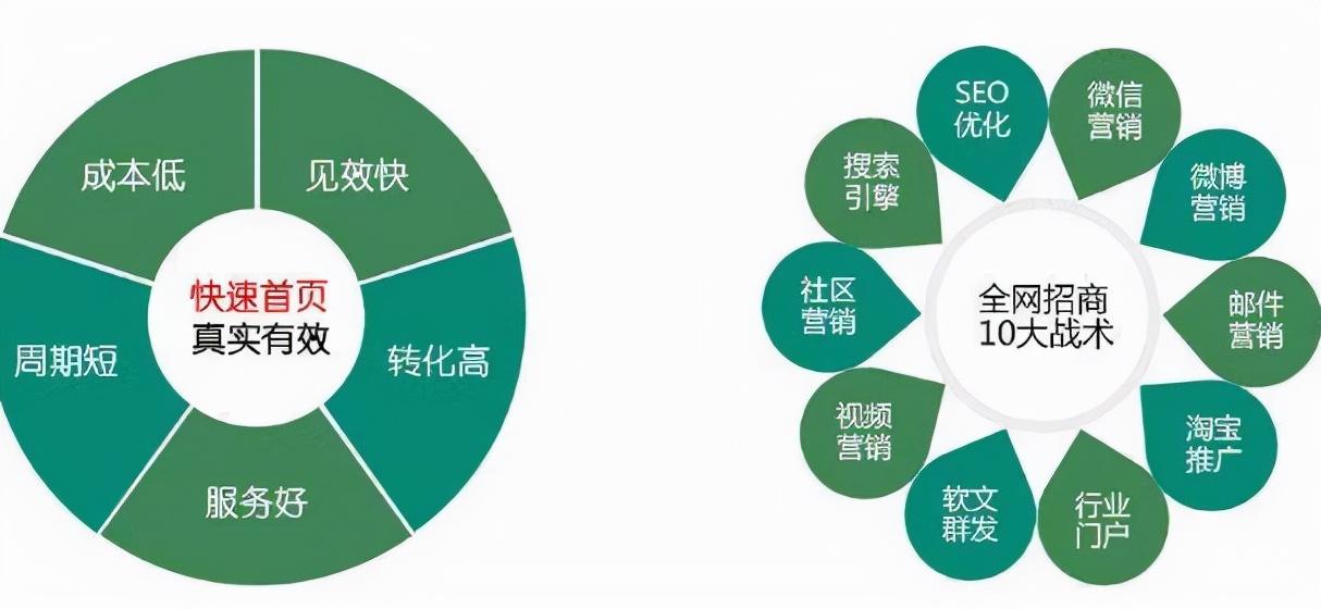 全面优化公司：实施战略性改进以推动增长和效率 (全面优化产业结构)