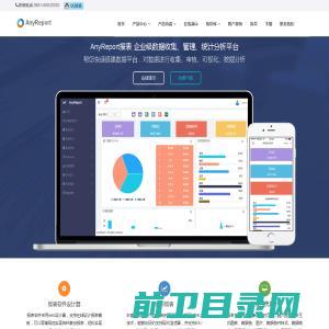 专业Web报表软件