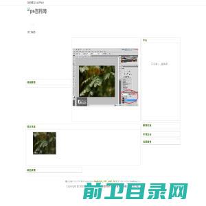 ps百科网