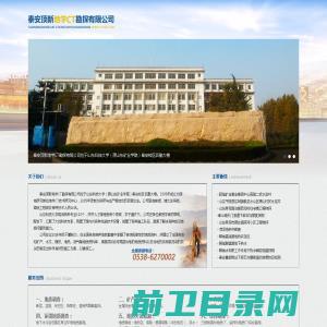 泰安顶新地学CT勘探有限公司