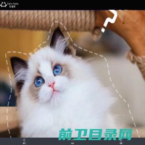 石家庄,品种猫,宠物猫,猫舍