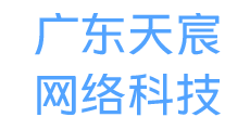 广东天宸网络科技