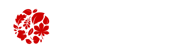 首页